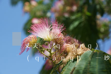 丈夫強(qiáng)勢鬧離婚(老婆性格強(qiáng)勢,一吵架說離婚)