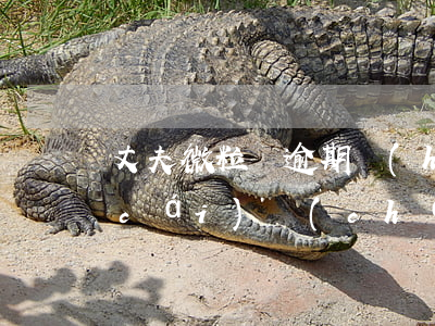 丈夫微粒貸逾期會(huì)保全妻子財(cái)產(chǎn)嗎-丈夫微粒貸逾期會(huì)保全妻子財(cái)產(chǎn)嗎知乎