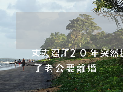 丈夫忍了20年突然提出離婚(結婚二十幾年了老公要離婚)