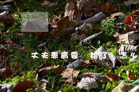 丈夫患病要離婚了該怎么辦