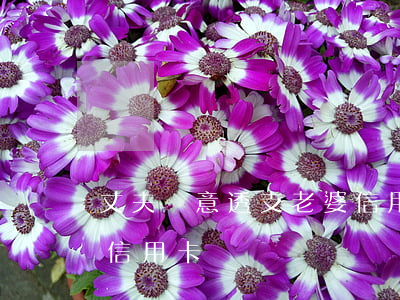 丈夫惡意透支老婆信用卡(丈夫惡意透支老婆信用卡)