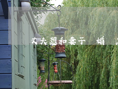 丈夫想和妻子離婚該怎么辦