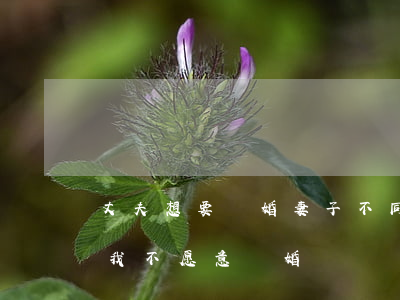 丈夫想要離婚妻子不同意(如果老公提出離婚,我不愿意離婚)