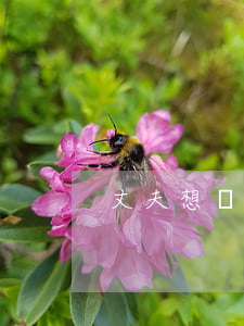丈夫想離婚卻不愿離怎么辦