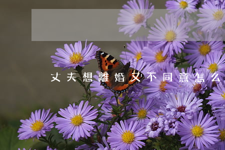 丈夫想離婚又不同意怎么辦