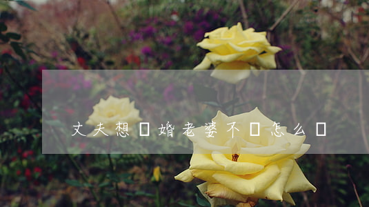 丈夫想離婚老婆不離怎么辦