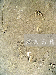 丈夫感情受傷要離婚嗎(丈夫感情受傷要離婚嗎)