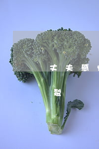 丈夫感情破裂妻子該離婚嗎(夫妻離婚感情破裂證據(jù))