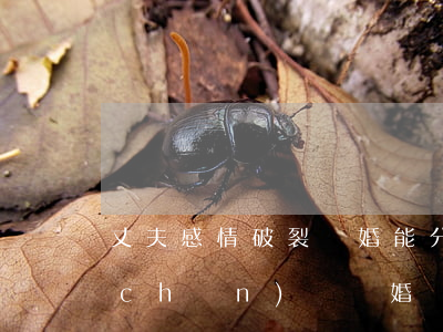 丈夫感情破裂離婚能分割財(cái)產(chǎn)嗎(離婚時(shí)關(guān)于財(cái)產(chǎn)的分割)