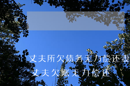 丈夫所欠债务,无力偿还,妻子会给拘留吗?（电影丈夫欠账无力偿还）