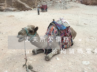 丈夫所欠債務(wù),無力償還,妻子會(huì)給拘留嗎?（電影丈夫欠賬無力償還）