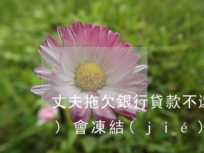 丈夫拖欠銀行貸款不還妻子財產(chǎn)會凍結(jié)嗎?-丈夫拖欠銀行貸款不還妻子財產(chǎn)會凍結(jié)嗎