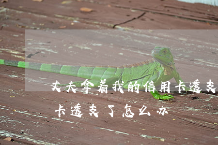 丈夫拿着我的信用卡透支了(老公把我的信用卡透支了怎么办)