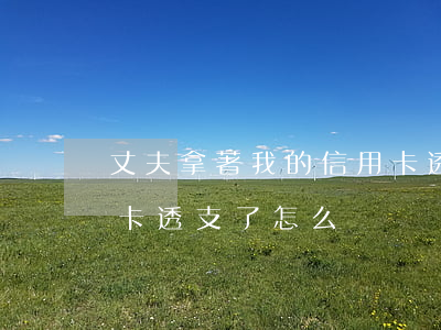 丈夫拿著我的信用卡透支了(老公把我的信用卡透支了怎么辦)