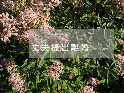 丈夫提出離婚
