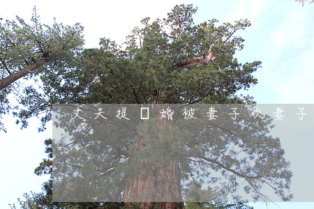 丈夫提離婚被妻子砍(妻子砍傷丈夫)