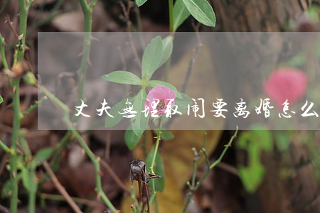 丈夫无理取闹要离婚怎么办