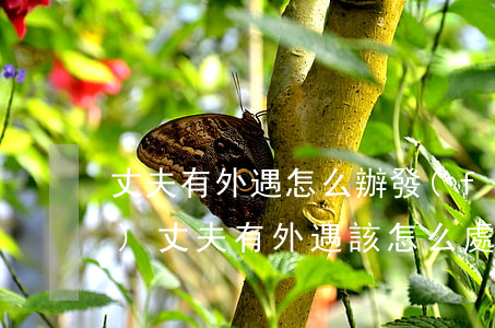 丈夫有外遇怎么辦(發(fā)現(xiàn)丈夫有外遇該怎么處理)
