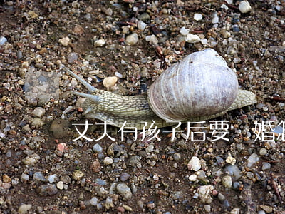 丈夫有孩子后要離婚怎么辦