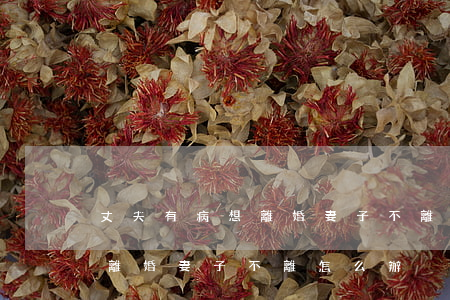 丈夫有病想離婚妻子不離怎么辦(丈夫有病想離婚妻子不離怎么辦)