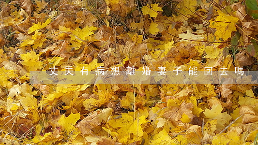 丈夫有病想離婚妻子能回去嗎