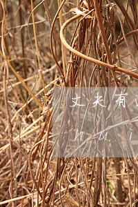 丈夫有逾期妻子能貸款嗎（妻子貸款逾期會(huì)影響丈夫嗎）