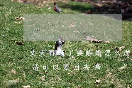 丈夫有錢了要離婚怎么辦(丈夫給妻子錢、離婚可以要回去嗎)