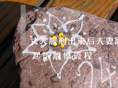 丈夫服刑出來后夫妻離婚怎么起訴(老公坐牢起訴離婚流程)
