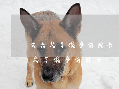 丈夫欠了很多信用卡錢(qián)-老公欠了很多信用卡