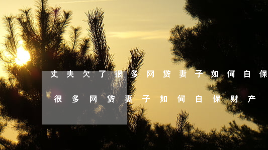 丈夫欠了很多网贷妻子如何自保-丈夫欠了很多网贷妻子如何自保财产