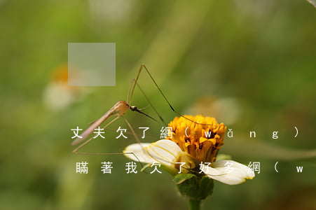 丈夫欠了網(wǎng)貸妻子懷孕了(老婆瞞著我欠了好多網(wǎng)貸丈夫要一起承擔(dān)嗎)