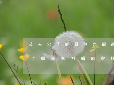丈夫欠了網貸無力償還會找家屬嗎-丈夫欠了網貸無力償還會找家屬嗎知乎