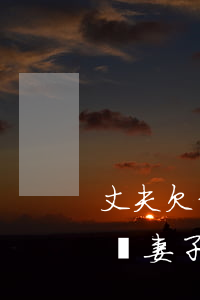 丈夫欠信用卡妻子就是不還(老公欠信用卡不還,妻子不知情)