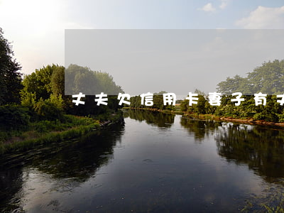 丈夫欠信用卡妻子有 丈夫欠信用卡妻子有影響嗎?