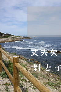 丈夫欠信用卡的錢不還(丈夫欠信用卡還不上,對妻子的存款就行扣除)