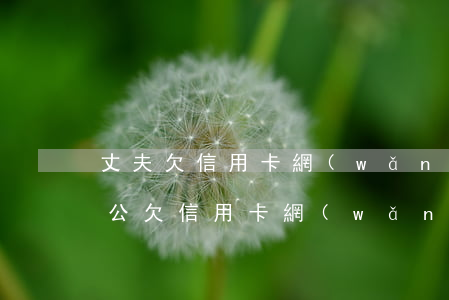 丈夫欠信用卡網(wǎng)貸共60萬(老公欠信用卡網(wǎng)貸老婆有影響嗎)