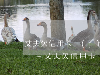 丈夫欠信用卡進(jìn)監(jiān)獄-丈夫欠信用卡進(jìn)監(jiān)獄