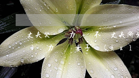 丈夫欠債無力償還不還(丈夫所欠債務(wù),無力償還,妻子會(huì)給拘留嗎?)
