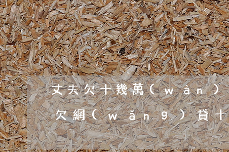 丈夫欠十幾萬(wàn)網(wǎng)貸(欠網(wǎng)貸十幾萬(wàn)不敢跟老公講怎么辦)