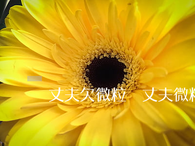 丈夫欠微粒貸(丈夫微粒貸會連累到妻子嗎)