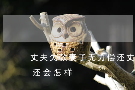 丈夫欠款妻子无力偿还(丈夫欠债妻子无力偿还会怎样)