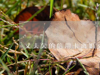 丈夫欠的信用卡离婚(丈夫欠的信用卡离婚)