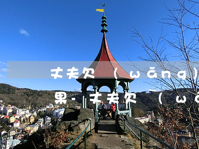 丈夫欠網(wǎng)貸8萬不還有什么后果-丈夫欠網(wǎng)貸8萬不還有什么后果嗎