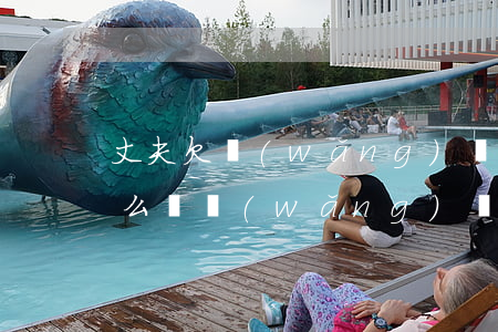 丈夫欠網(wǎng)貸來妻子工作地方怎么辦(網(wǎng)貸妻子欠錢丈夫需要償還嗎)