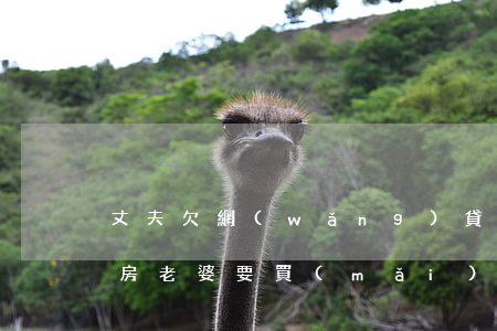 丈夫欠網(wǎng)貸堵氣買(mǎi)房(老婆要買(mǎi)房子我還欠著網(wǎng)貸)