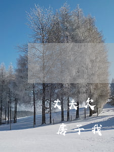 丈夫欠網(wǎng)貸堵氣買房(老婆要買房子我還欠著網(wǎng)貸)