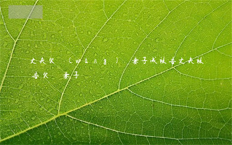 丈夫欠網(wǎng)貸妻子成被告(丈夫被告欠債,妻子)