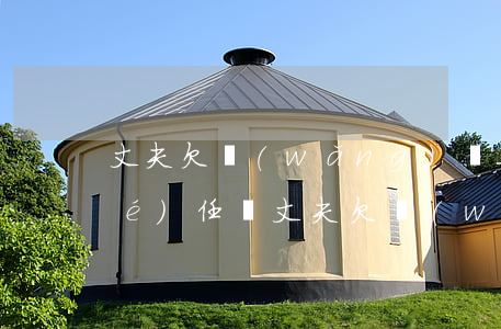 丈夫欠網(wǎng)貸 妻子需要付責(zé)任嗎(丈夫欠網(wǎng)貸 妻子需要付責(zé)任嗎)
