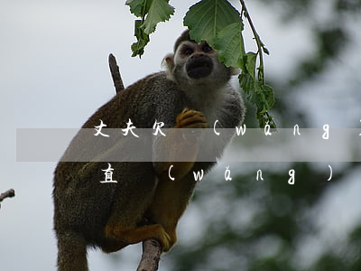 丈夫欠網(wǎng)貸我該離婚 6(老公一直網(wǎng)貸無力償還我該離婚嗎)