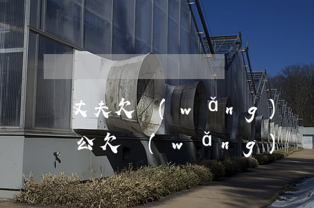 丈夫欠網(wǎng)貸拒還妻子怎么辦(老公欠網(wǎng)貸老婆怎么辦)
